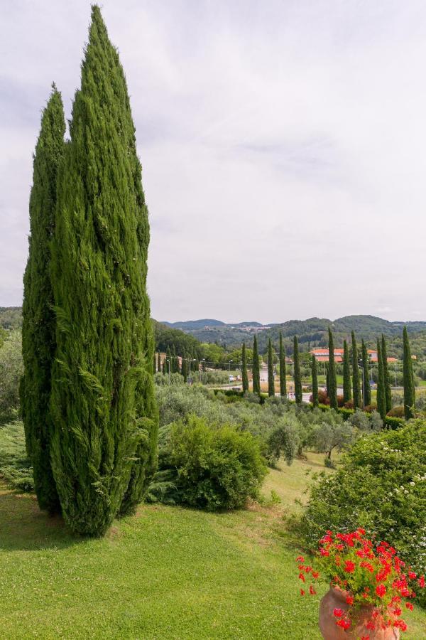 Villa Ligustro Riparbella Exterior photo